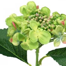 Hortensia artificiel, décoration florale, fleur en soie verte L44cm