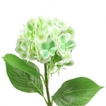 Article Hortensia artificiel vert, blanc 68cm