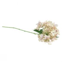 Article Hortensia fleur de jardin artificielle crème avec bourgeons 52cm