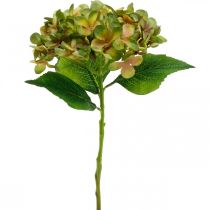 Hortensia artificiel Vert, Jaune fleur artificielle H35cm