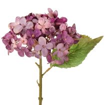 Article Hortensias artificiels violets, fleurs artificielles, 34 cm, 2 pièces