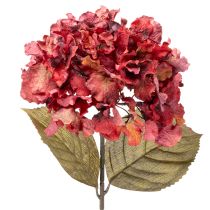 Article Branche d'hortensia artificielle en fleurs, grande fleur, 74 cm