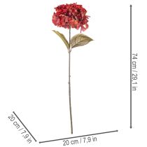 Article Branche d'hortensia artificielle en fleurs, grande fleur, 74 cm