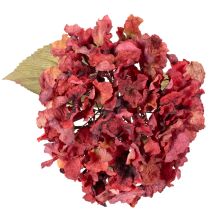 Article Branche d'hortensia artificielle en fleurs, grande fleur, 74 cm