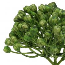 Article Pic à bourgeons d&#39;hortensia 22cm vert 12 pcs