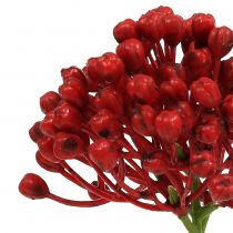 Article Pique-boutons d&#39;hortensia 22cm rouge 12pcs