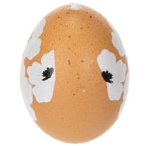 Article Décoration de Pâques à suspendre, printemps, Pâques, véritables œufs de poule, naturels, 6 cm, lot de 6