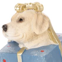 Article Figurine décorative représentant un chiot assis, présentée dans une boîte cadeau, 20 cm