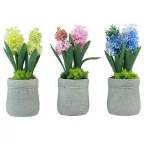 Article Jacinthe artificielle en pot jaune rose bleu H23cm 3pcs