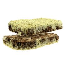 Article Mousse Mousse d&#39;Islande Finlande Extra Polaire 2 panneaux
