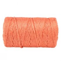 Article Ruban de jute cordon de jute ruban décoratif jute orange Ø4mm 100m