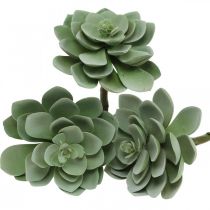 Décoration plante succulente artificielle plantes artificielles vertes 11 × 8,5cm 3pcs