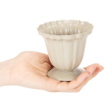 Article Bol décoratif, trophée couleur crème, petit, 10 cm
