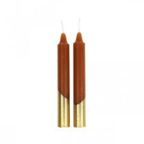 Article Bougies arbre bougies pyramidales Ø13×H105mm marron, doré 10pcs