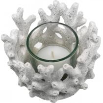 Lanterne avec verre en corail décoration maritime design blanc artificiel Ø9.5cm 2pcs