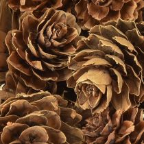 Article Pommes de pin naturelles petites décorations en filet 2,5-3,5 cm 300 g