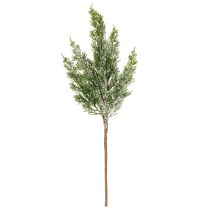 Article Branches de pin artificiellement enneigées pour compositions florales et décorations de l'Avent, 40 cm, lot de 3