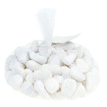 Article Galets dans le filet Blanc 2.5cm - 4cm 1kg