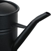 Article Petit arrosoir décoratif métal noir 30x13x17cm 1,7l