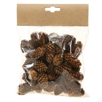 Article Petits cônes de pruche décoratifs naturels Avent 3-4cm 100g
