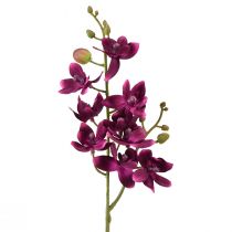 Article Petite orchidée Phalaenopsis fleur artificielle violet foncé 30cm