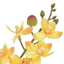Article Petite orchidée Phalaenopsis artificielle jaune 30cm
