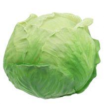 Chou blanc Ø16cm