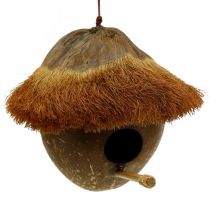 Article Noix de coco comme nichoir, nichoir à accrocher, décoration noix de coco Ø16cm L46cm