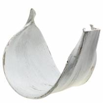Article Bol en noix de coco feuille de coco blanchie décoration naturelle 35cm