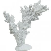 Décoration maritime corail blanc décoration artificielle stand 11×12cm