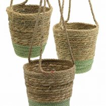 Article Panier suspendu, corbeille naturelle, jardinière à suspendre naturel, vert Ø19/17/15cm lot de 3