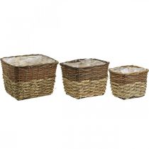 Article Panier à plantes, bac naturel à planter, coupe fleur carré naturel L29.5/26/23cm H21/19/16cm lot de 3