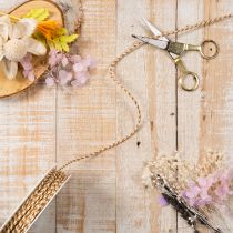 Article Ruban cadeau, cordon bicolore, 3 mm, 20 m