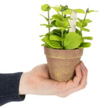 Article Pot à herbes artificielles avec herbes décoratives pour la cuisine, le jardin, le balcon ou la terrasse, 15 m³, lot de 3