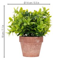 Article Plante artificielle en pot, texture réaliste, pour la décoration intérieure, 18 cm, lot de 3.