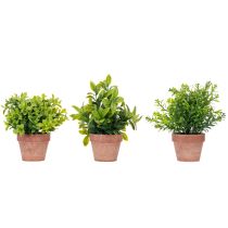 Article Plante artificielle en pot, texture réaliste, pour la décoration intérieure, 18 cm, lot de 3.