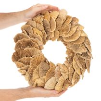 Article Couronne de champignons arboricoles, couleur naturelle, pour décoration de porte ou de mur, 37 cm