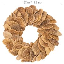 Article Couronne de champignons arboricoles, couleur naturelle, pour décoration de porte ou de mur, 37 cm