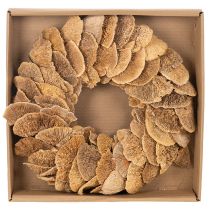 Article Couronne de champignons arboricoles, couleur naturelle, pour décoration de porte ou de mur, 37 cm