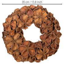 Article Couronne de lotus séché, couronne décorative de porte, 35 cm
