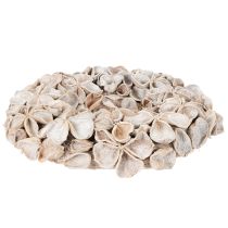 Article Couronne de lotus, décoration naturelle, fleurs séchées, 35 cm
