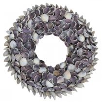 Couronne de coquillages, coquillages naturels chippy violet, anneau en coquillages Ø25cm