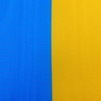 Article Ruban Couronne Moiré Bleu-Jaune 100 mm