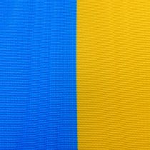 Article Rubans de couronne moiré bleu-jaune 150 mm