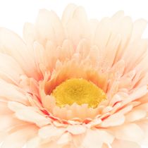 Article Gerberas artificiels abricot 47 cm, lot de 6