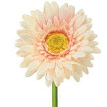 Article Fleurs artificielles Gerbera Abricot 47cm