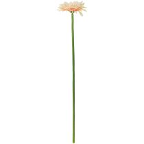 Article Fleurs artificielles Gerbera Abricot 47cm