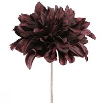 Article Dahlia artificiel à grandes fleurs bordeaux L58cm