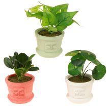 Article Plantes vertes artificielles mini plantes en pot 15cm 3pcs
