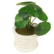 Article Plantes vertes artificielles mini plantes en pot 15cm 3pcs